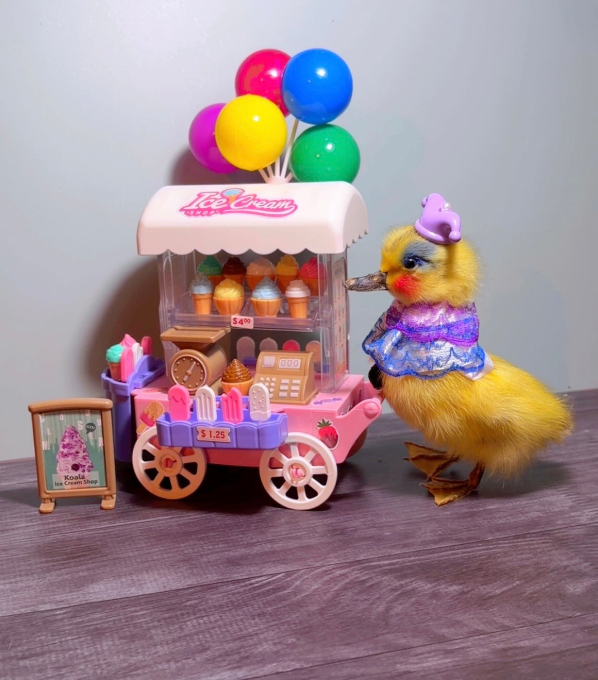 Ice cream shop duckling