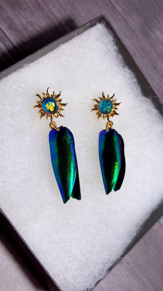 Handmade beetle wing earrings
