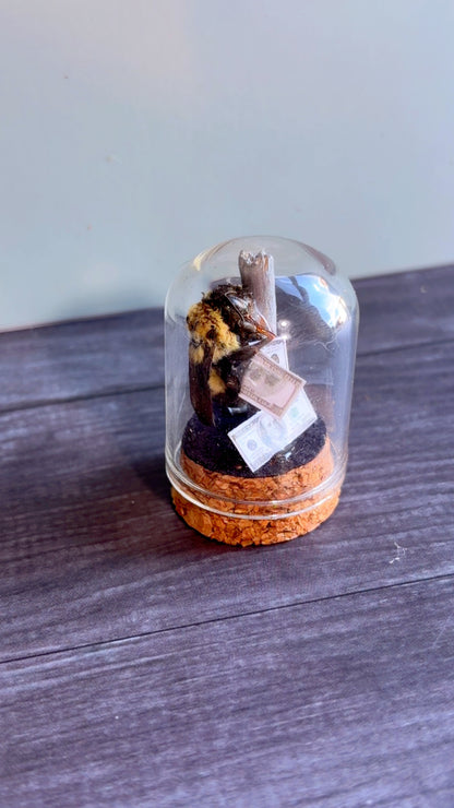 Handmade stripper bugs