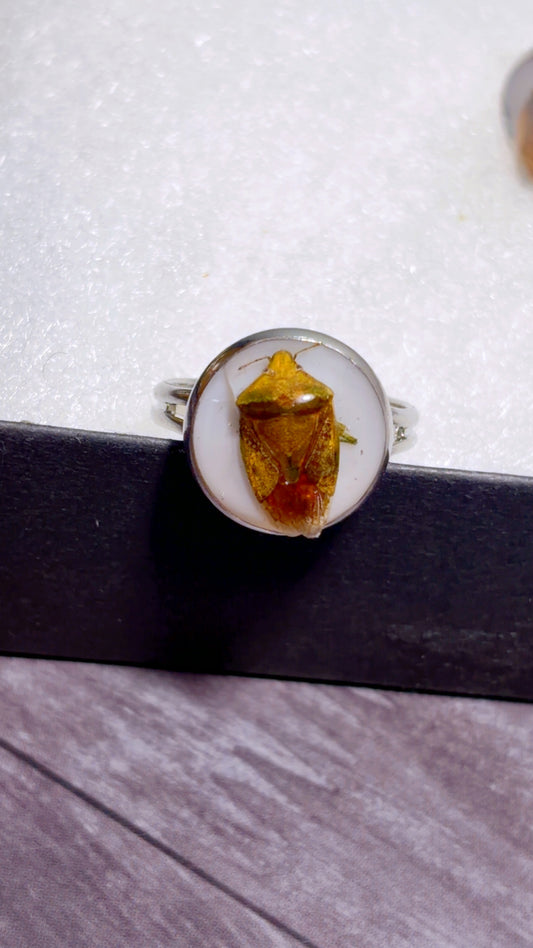 Handmade baby stink bug ring