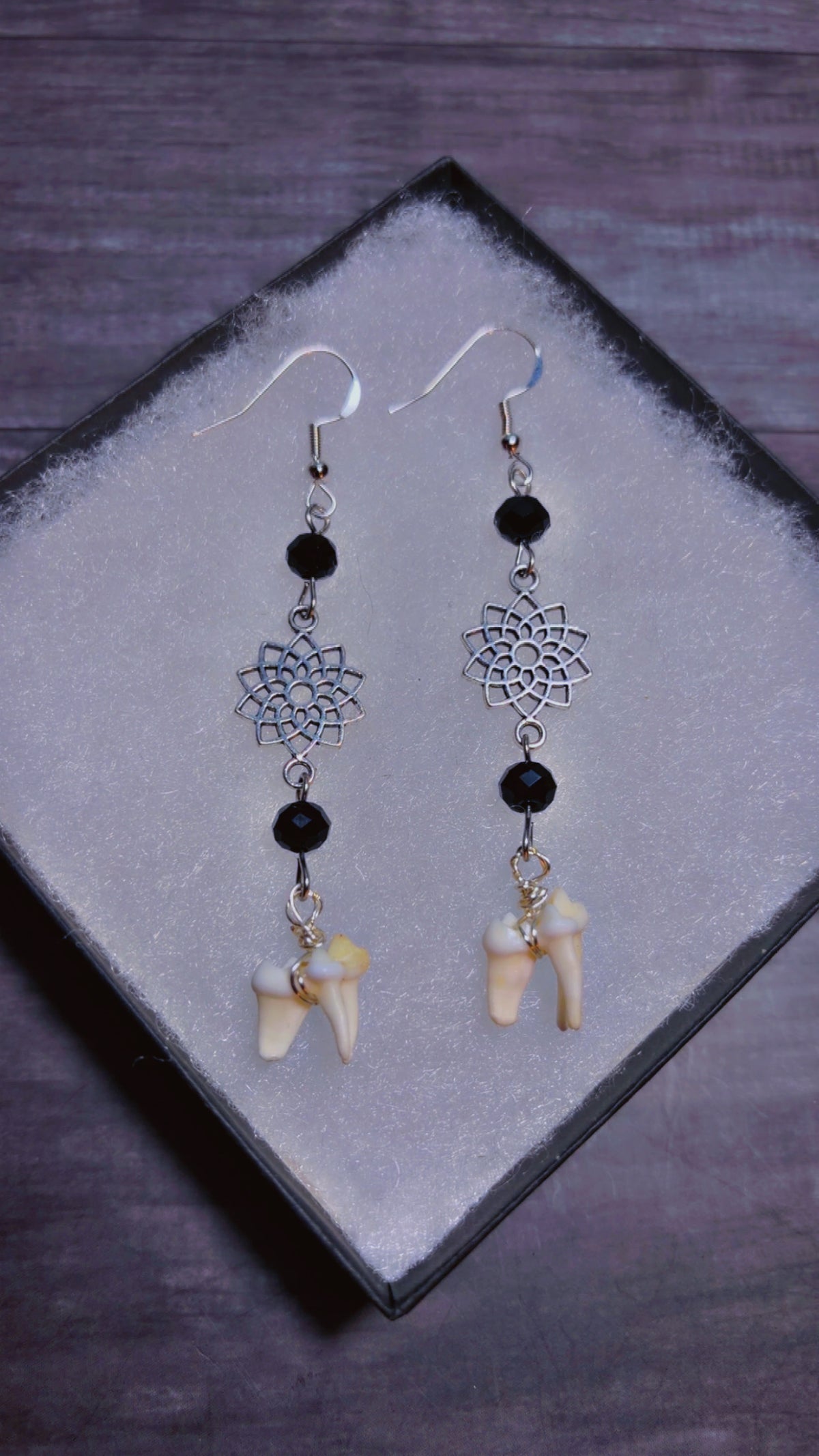 Handmade coyote tooth earrings