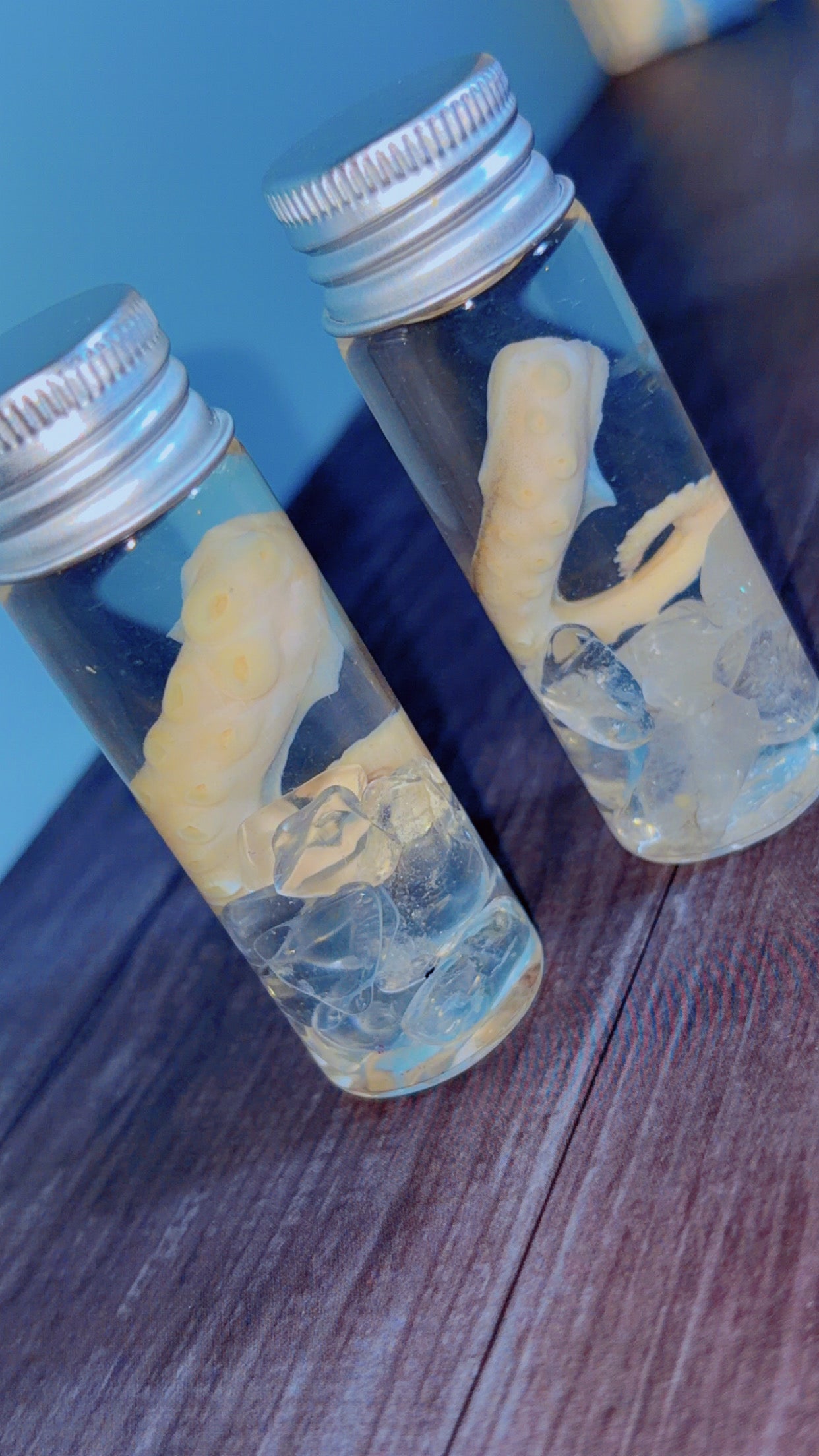 Handmade squid tentacle wet specimen with clear quartz crystals