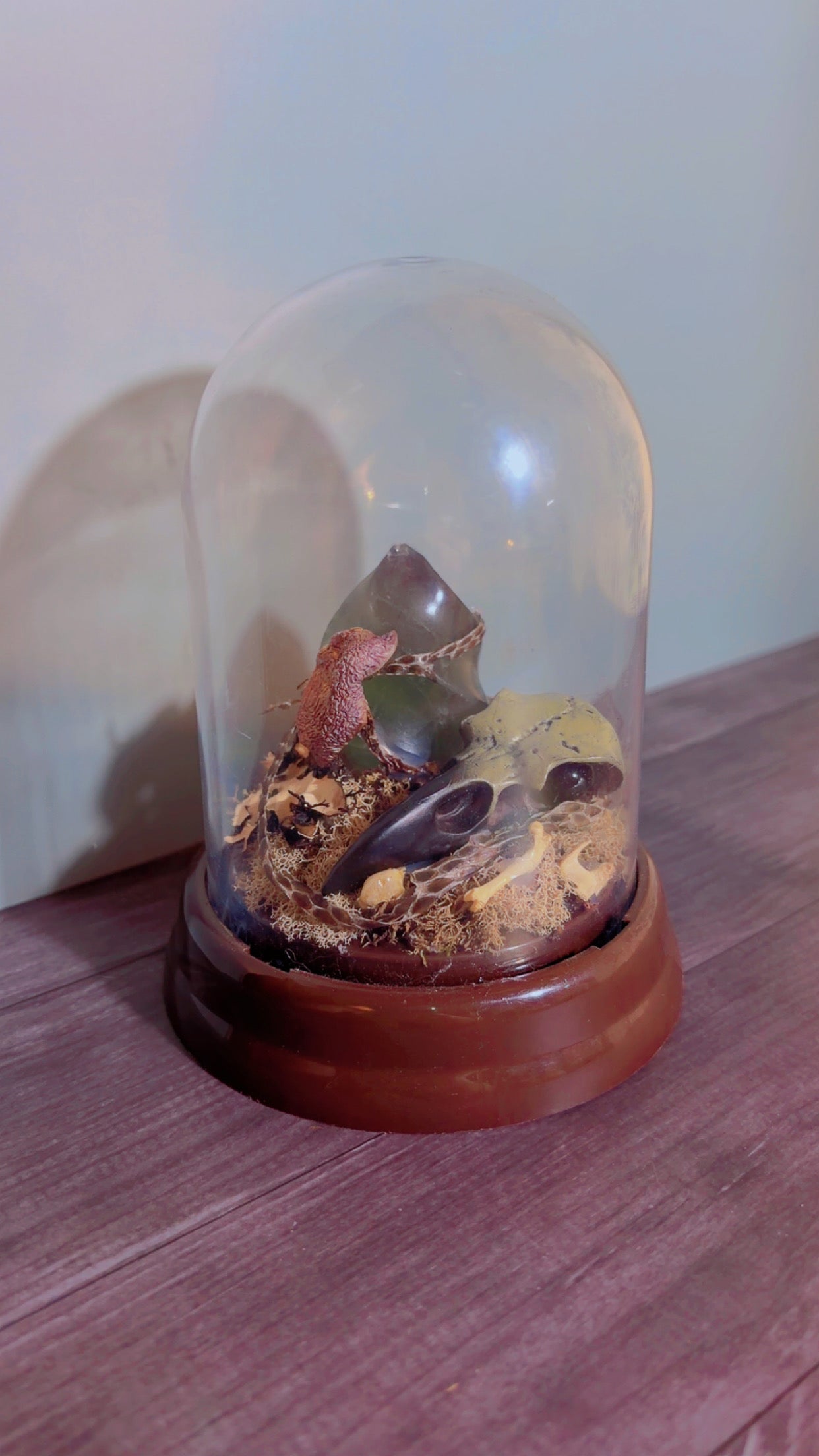 Handmade dome with faux crow skull