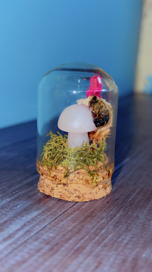 Handmade tiny dome with honeybee specimen