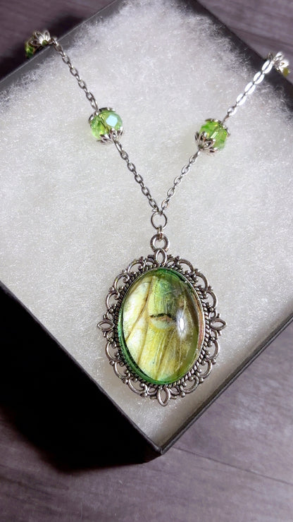 Handmade Luna moth cameo necklace