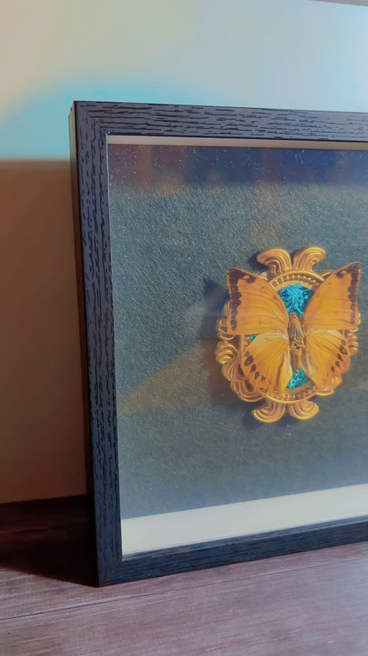 Handmade butterfly framed art