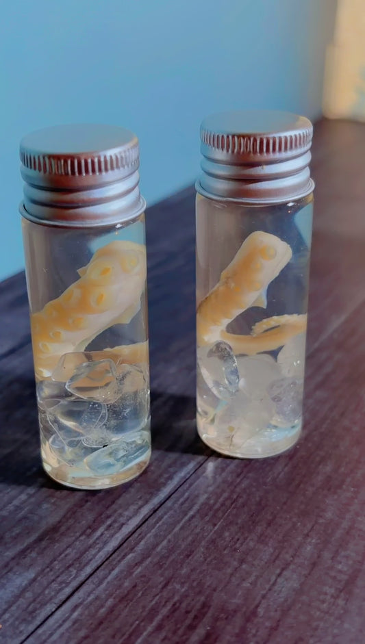 Handmade squid tentacle wet specimen with clear quartz crystals
