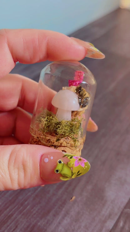 Handmade tiny dome with honeybee specimen