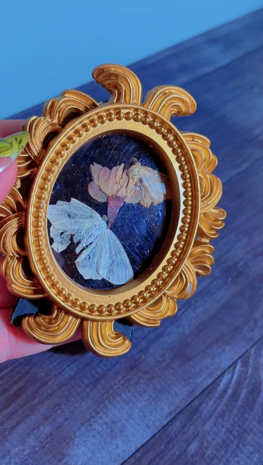 Handmade framed art with moths and a dried flower