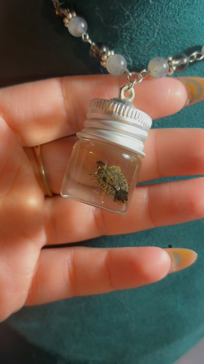 Handmade stink bug wet specimen necklace