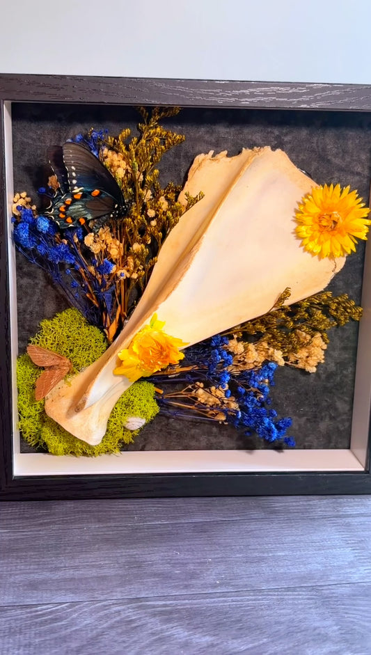 Handmade wall art piece with deer scapula bone, moth, butterfly, and dried florals