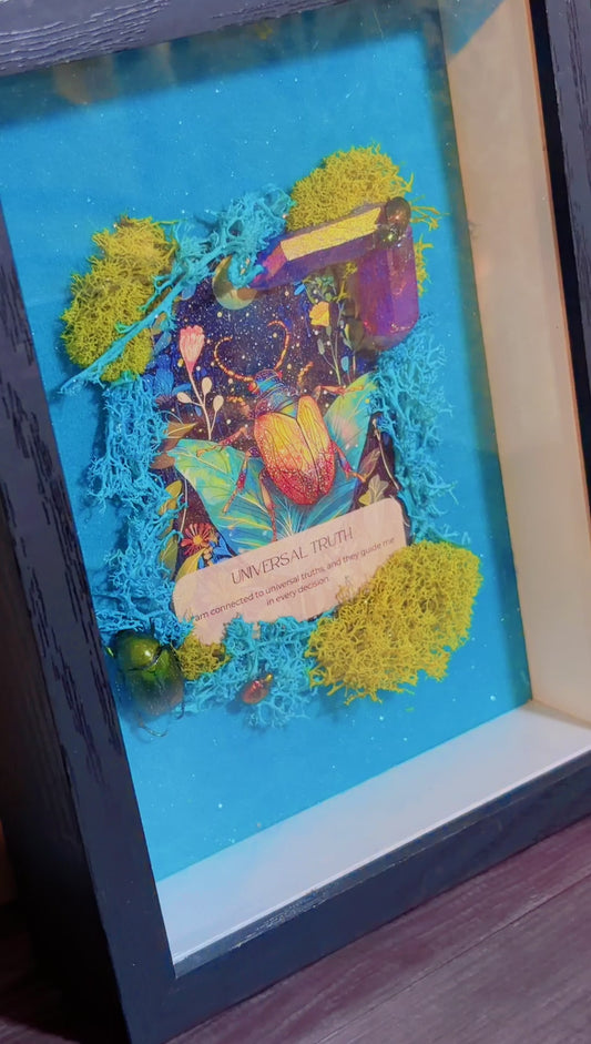 Handmade framed art with 3 beetle specimens